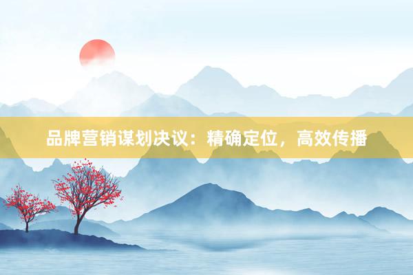 品牌营销谋划决议：精确定位，高效传播